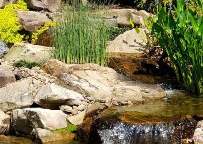 Backyard Pond and Waterfalls