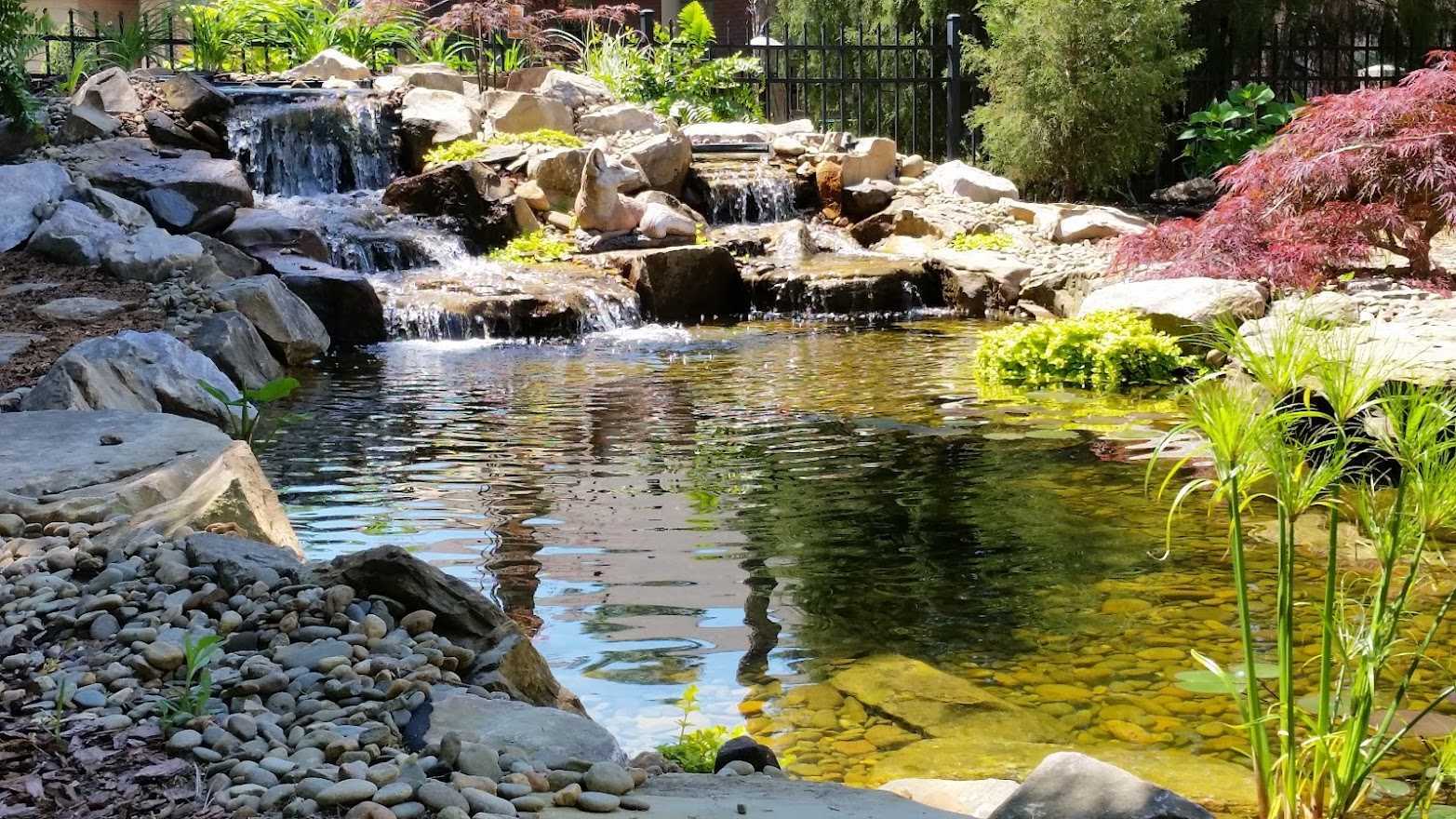 Outdoor Pond and Waterfall